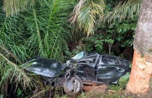 Dois morrem e um fica ferido em capotamento na BR-364