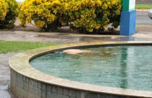 Corpo é achado boiando em chafariz de praça no interior