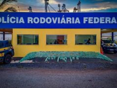 Caminhoneiro é preso com meia tonelada de cocaína no veículo