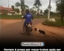 Veja Vídeo – Homem é preso por maus-tratos após ser flagrado arrastando cachorro amarrado; veja