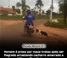 Veja Vídeo – Homem é preso por maus-tratos após ser flagrado arrastando cachorro amarrado; veja