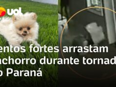 Veja Vídeo – Ventos fortes arrastam cachorro durante passagem de tornado no Paraná; veja
