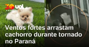 Veja Vídeo – Ventos fortes arrastam cachorro durante passagem de tornado no Paraná; veja
