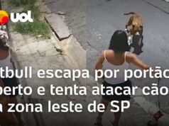 Veja Vídeo – Pitbull escapa por portão aberto e ataca cão menor em São Paulo;