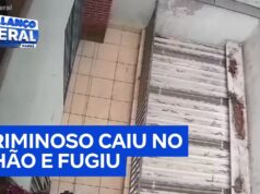 Veja Vídeo – Moradora bate em ladrão com planta artificial e impede que sua casa seja invadida; veja
