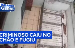 Veja Vídeo – Moradora bate em ladrão com planta artificial e impede que sua casa seja invadida; veja