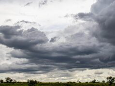 100 cidades de MT têm alerta de temporais esta semana
